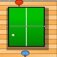 World Table Tennis Game